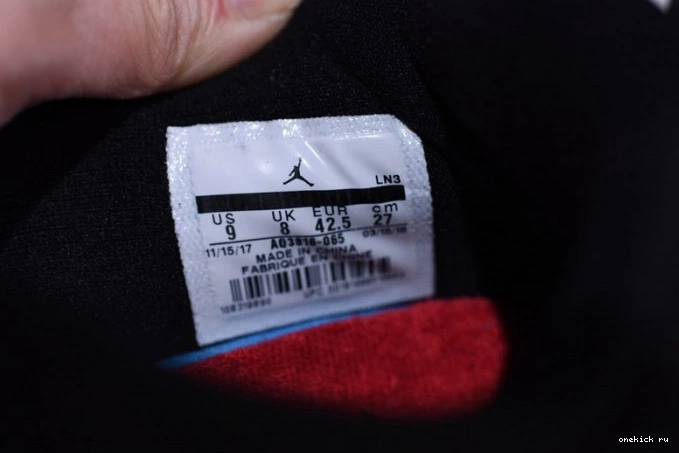 Rep Onekick Retro Air AQ3816-065 NRG Jordan Raptors